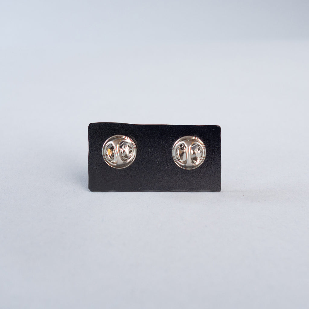 Pin - Den svenska björnstammen